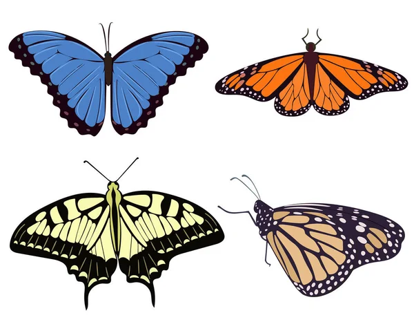 一套现实漂亮的蝴蝶矢量插图 收集飞蛾黄色 蓝色和米黄色 对称优雅的蝴蝶 — 图库矢量图片