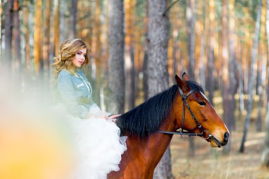 Düğün ülke tarzı ormanda