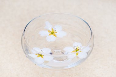 bir cam yüzen beyaz çiçekler