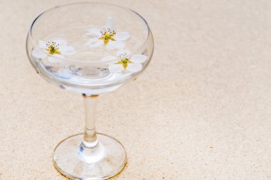 bir cam yüzen beyaz çiçekler