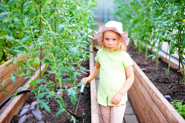 Berkebun Gadis kecil yang merawat tanaman di greenho — Stok Foto