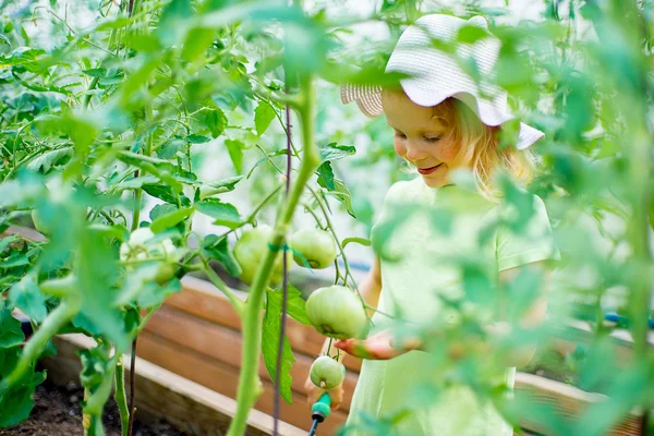 Huerto - niña cuidando de las plantas en el — Foto de Stock