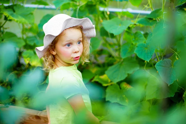 Gartenarbeit - kleines Mädchen kümmert sich um die Pflanzen im Gewächshaus — Stockfoto