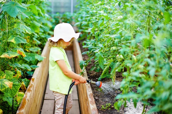 Berkebun Gadis kecil yang merawat tanaman di greenho — Stok Foto