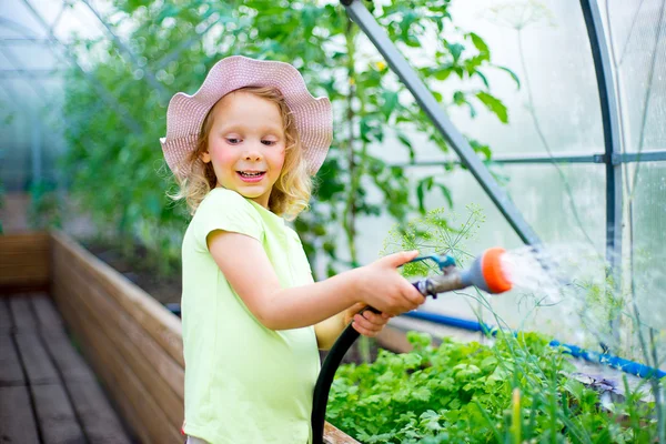 Berkebun Gadis kecil yang mengairi tanaman di rumah kaca — Stok Foto