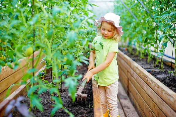 Berkebun Gadis kecil yang merawat tanaman di greenho — Stok Foto