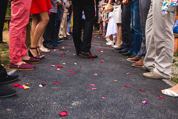 Chemin d'asphalte avec pétales de roses — Photo