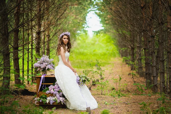 The bride in the wood — Stock Photo, Image