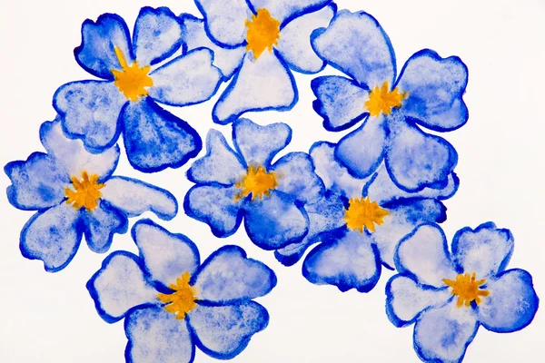 Fleurs bleues aquarelle — Photo