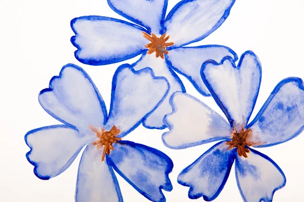 Fleurs bleues aquarelle — Photo