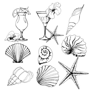 Set, seashells, tropical cocktails . Vector illustration