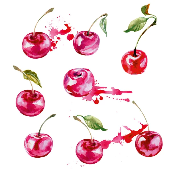 Watercolor cherry. Vector illustration — ストックベクタ
