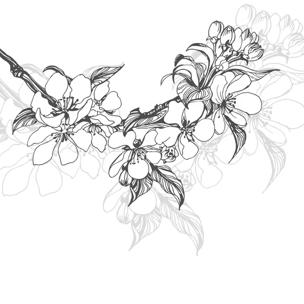 꽃 피는 애플 나무 가지의 스케치입니다. 당신의 디자인에 대한 ?lement. 벡터 일러스트레이션 — 스톡 벡터