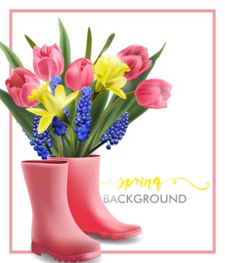 Blooming bahar çiçekleri, Lale, nergis, Muscari ve pembe bot ile arka plan bahar. Şablon vektör.