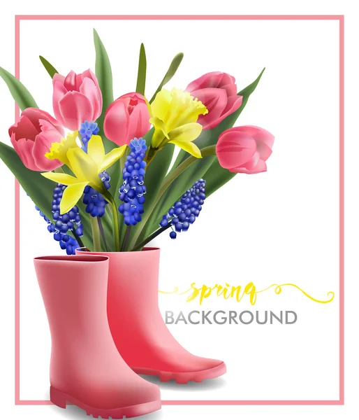 Fundo de primavera com flores da primavera florescendo, tulipas, Narciso, Muscari e botas rosa. Modelo Vector . —  Vetores de Stock