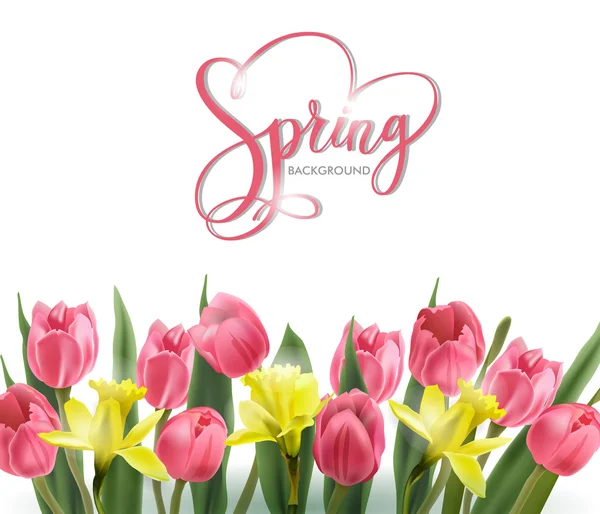 Spring background with Blooming spring flowers, pink tulips, Narcissus . Spring Concept. Template Vector. — Stock Vector