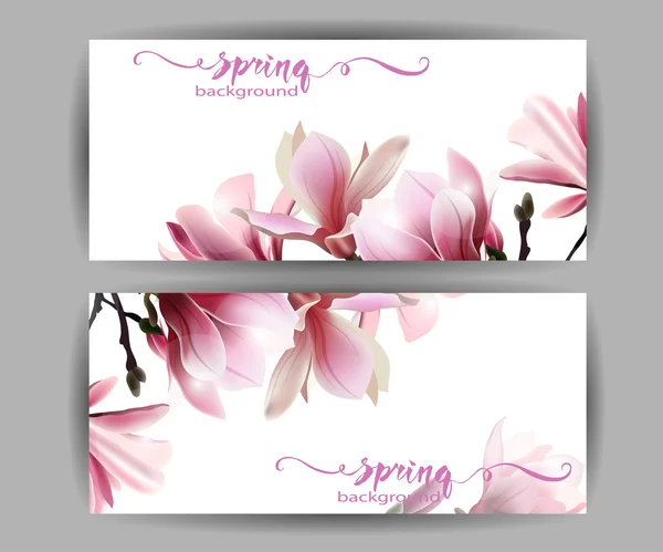 Spring background with blossom brunch of Magnolia. — Stock Vector