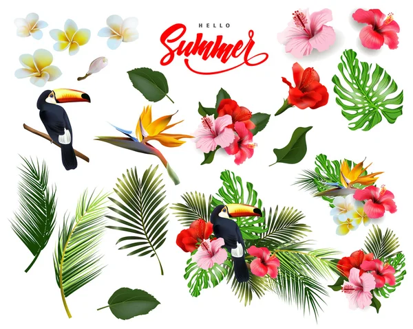 Um conjunto de flores tropicais, folhas de palmeira, tucano. Fundo de verão Conceito com flores tropicais hibisco. Modelo Vector . —  Vetores de Stock