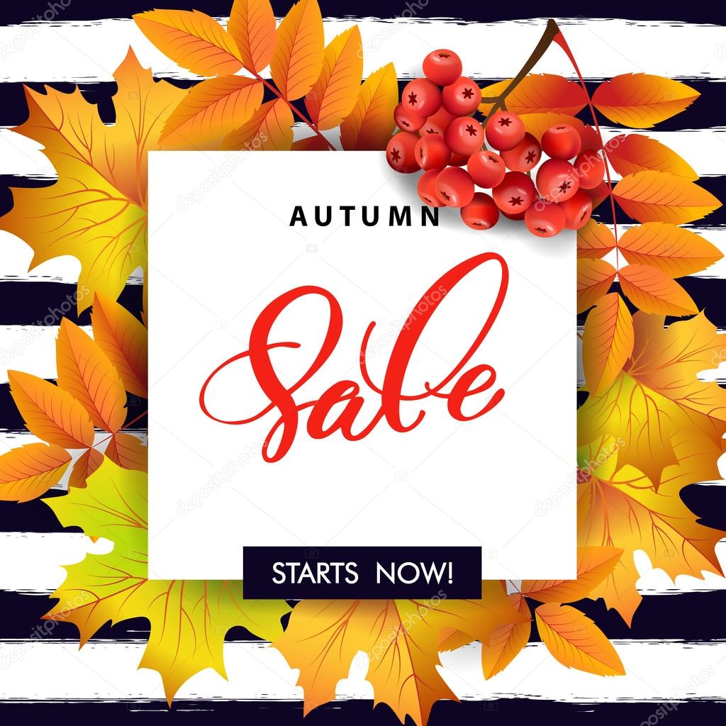 Sales banner with autumn leaves and rowan berries. Template Vector.