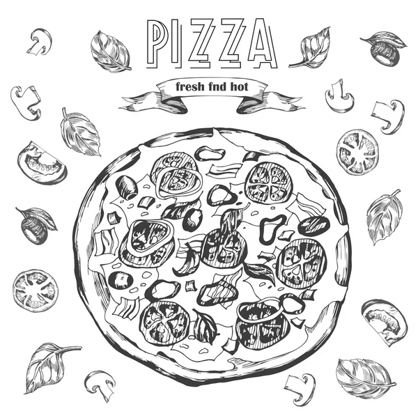 Pizza ingredients for design menu. — Stok Vektör