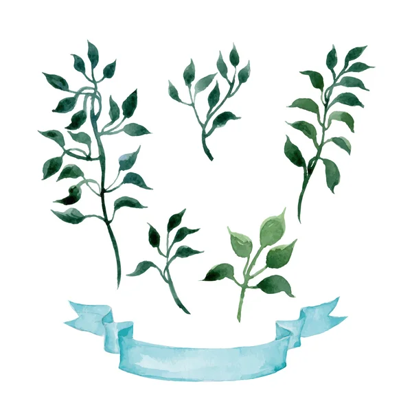 Акварельные растения — стоковый вектор