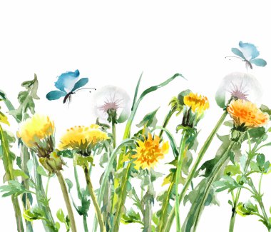 Dandelions. Kelebekler ile sarı çiçek.