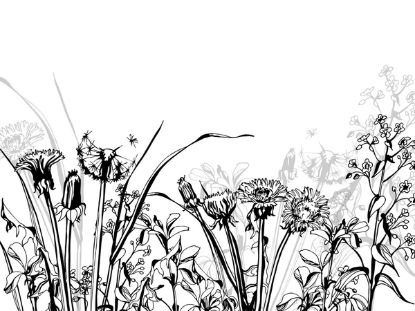 Silueta de hierbas y flores — Vector de stock