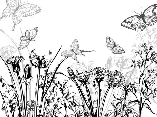 Silhouette von Kräutern und Schmetterlingen — Stockvektor