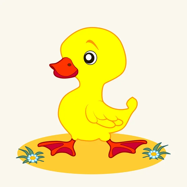 Eğlenceli Hayvanat Bahçesi. Karikatür vektör Illustration sevimli ördek yavrusu — Stok Vektör