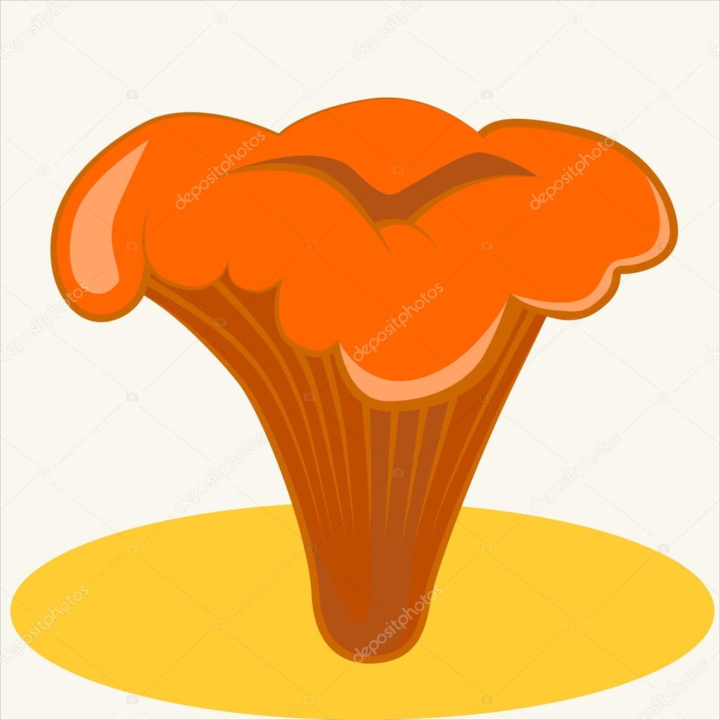 Cartoon vector Illustration of cute edible mushrooms. Chanterelle.