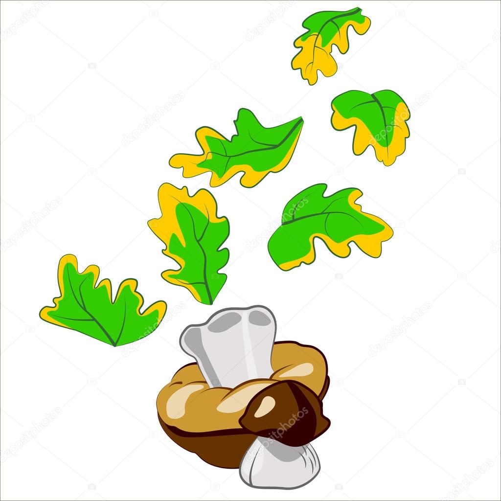 Vector isolated illustration, cute edible mushrooms. Ceps and leaves fall down.