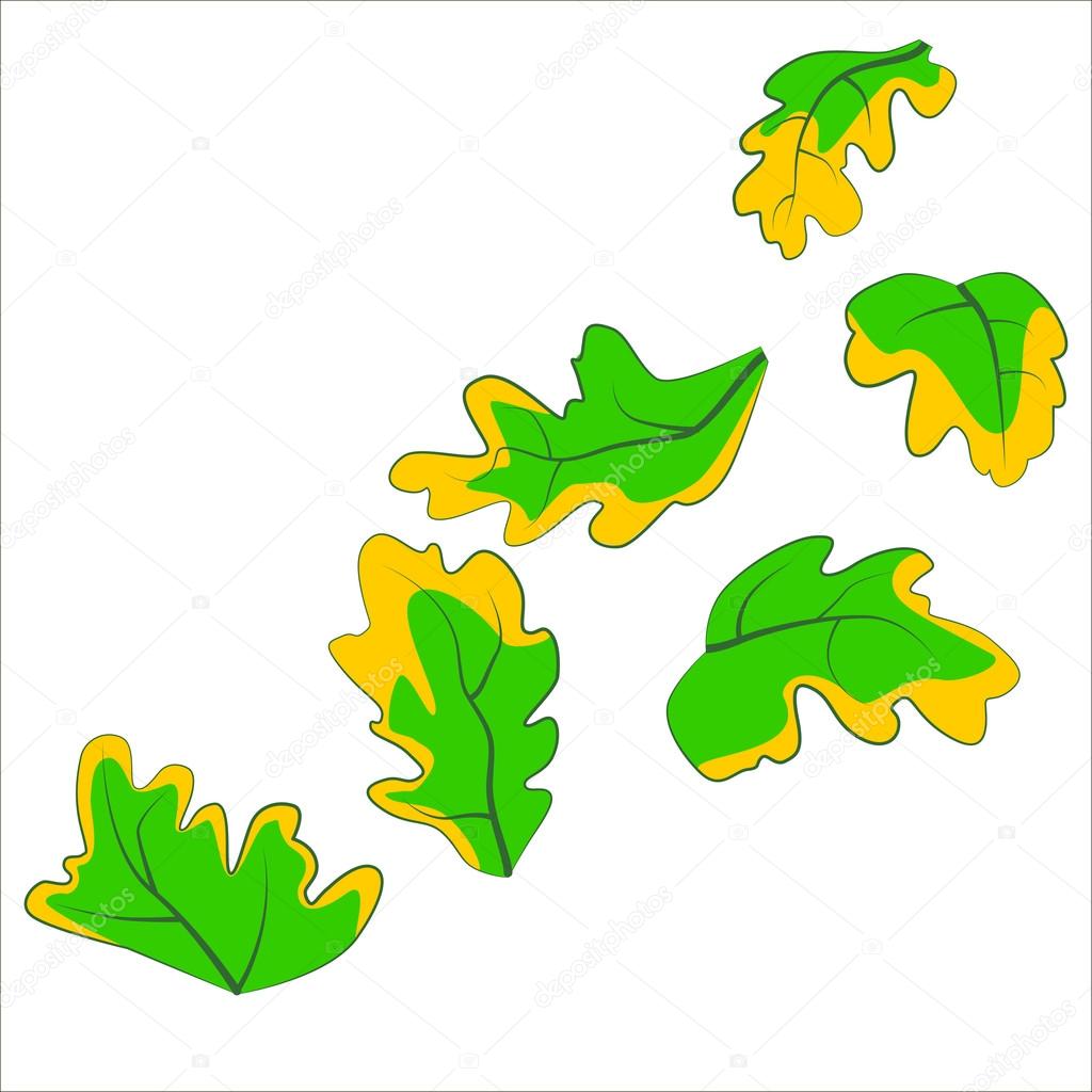 Vector isolated illustration, leaves fall down.