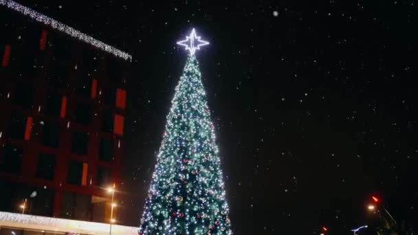 White fir tree, decorated outside at night. At the top is a shining silver star. — Stock Video