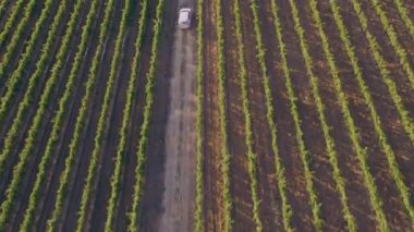 Tarım ve tarım endüstrisi konseptinin inanılmaz yeşil alan insansız hava aracı ile tepeden görüntü alıyoruz..