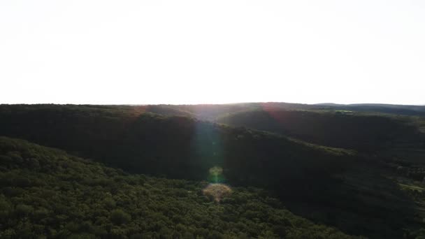 Gün batımında bir orman yüzeyinin taklitçi manzarası. 4k drone 'lu ıssız bir orman. Moldova ormanları gün batımında. Moldova Cumhuriyeti ve ormanı zengindir. — Stok video