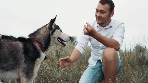 Милый молодой человек тренирует свою милую собаку лапать, держит кулак с едой внутри. — стоковое видео
