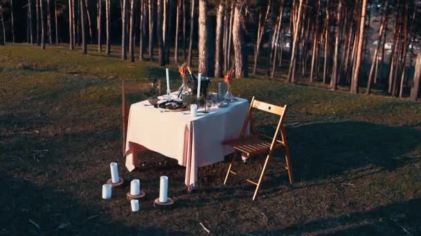 Idealny krajobraz. Portret romantycznej kolacji w przyrodzie, przy zachodzie słońca, świece, szampan i wiele drzew — Wideo stockowe