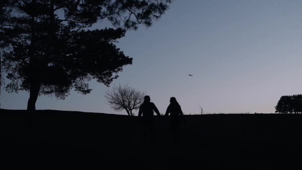 The silhouettes of the couple in love walking, holding hands in the bosom of nature in love. The frame in which trees can be seen, a plane flies, and the sky is dark — Stock Video