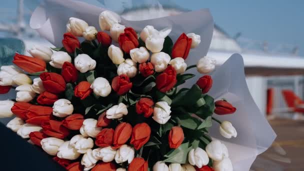 Tulip merah dan putih dikombinasikan dalam satu karangan bunga yang bergerak sedikit di bawah angin. Potret 4k — Stok Video