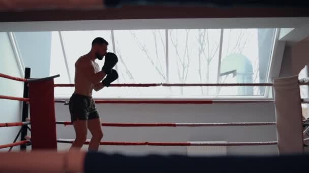 El boxeador enfocado entrena en la pista de baile, se prepara para la próxima pelea, realiza movimientos de puño. Intensa energía masculina. Estilo de vida saludable. Concepto deportivo — Vídeos de Stock