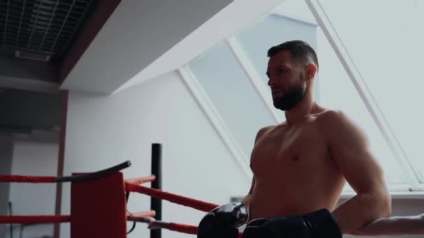 El marco de perfil del boxeador entrenado que es serio, carismático y mira hacia el futuro. Intensa energía masculina. Estilo de vida saludable. Concepto deportivo — Vídeos de Stock