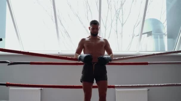 Mladý boxer je podepřen provazy kroužku, má dobře opracovanou hruď a břicho. Intenzivní mužská energie. Zdravý životní styl. Sportovní koncept — Stock video