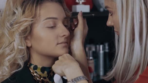 Il truccatore dipinge le sopracciglia dei modelli con una matita marrone. Il processo di applicazione del trucco a casa da un professionista. Concetto artistico — Video Stock