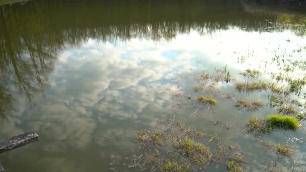 Природа в воде озера, окруженного зелеными звездными метеоритами. Отражение неба нахмурилось белыми облаками. Концепция весна-лето. Концепция 4k — стоковое видео