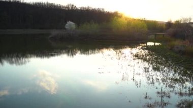 Yeşil çayırın ortasındaki nehrin çerçevesi yeşil ağaçlarla çevrili. Parlak renkler. Bahar-yaz konsepti. 4k konsepti