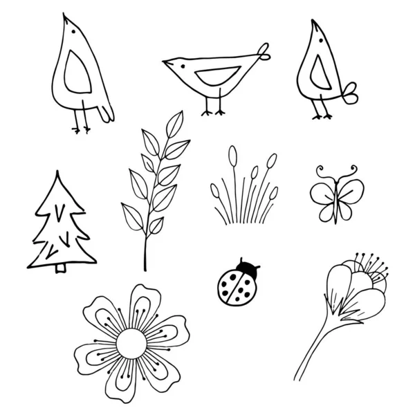 Black White Drawing Birds Insects Flowers Plants White Background Decorative Vector Graphics