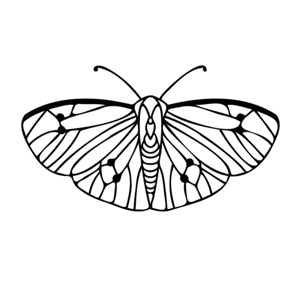 Vector aislado abstracto diseño de ilustración forrado en blanco y negro de mariposa — Archivo Imágenes Vectoriales