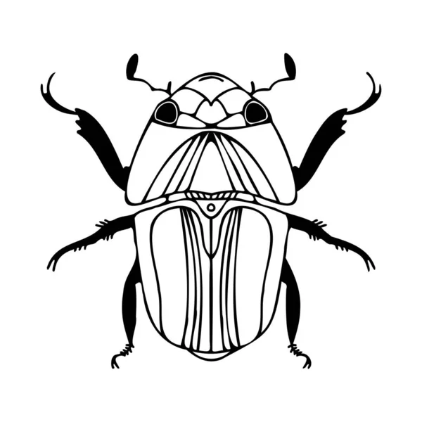 Abstrato isolado vetor preto e branco forrado ilustração design de bug — Vetor de Stock