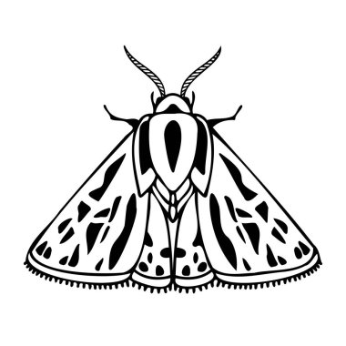 Abstract isolated vector black and white lined illustration design with moth clipart