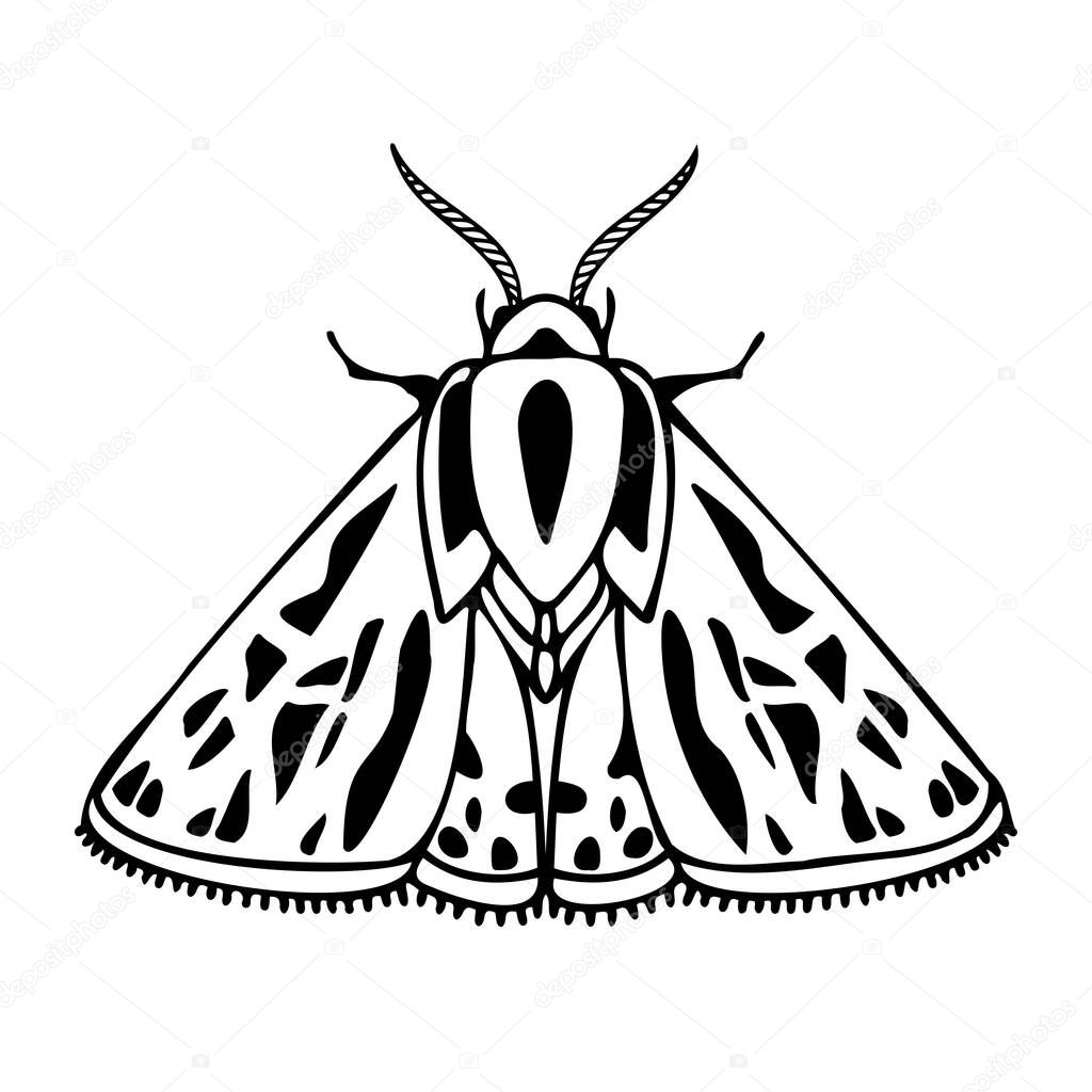 Abstract isolated vector black and white lined illustration design with moth